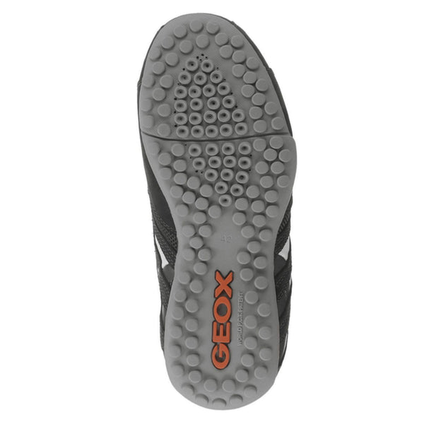 Baskets basses Respiration Sport Serpent Geox Homme